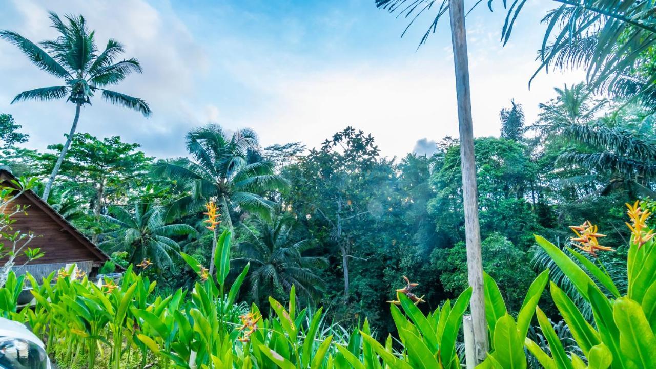 Iyume Villas Tegallalang  Esterno foto